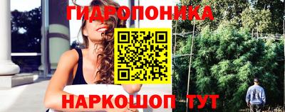 стаф Жуковский
