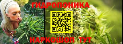 стаф Жуковский