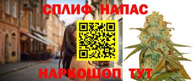 стаф Жуковский