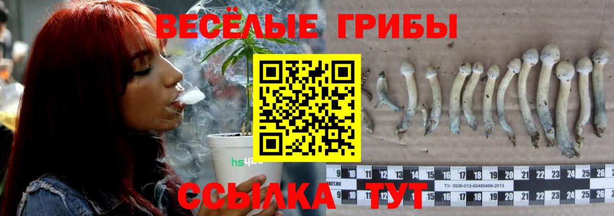 Усинск  Псилоцибиновые грибы Cubensis  Вход с VPN 